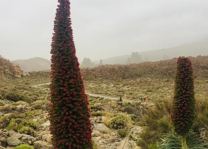 Casa Antonio - Luna 아파트 플라야 데 산 후안