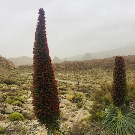 Casa Antonio - Luna Apartmán Playa de San Juan (Tenerife)